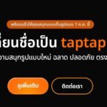 เล่นสล็อตออนไลน์กับ taptap.asia | โบนัสแตกง่าย รวมค่ายดังครบ